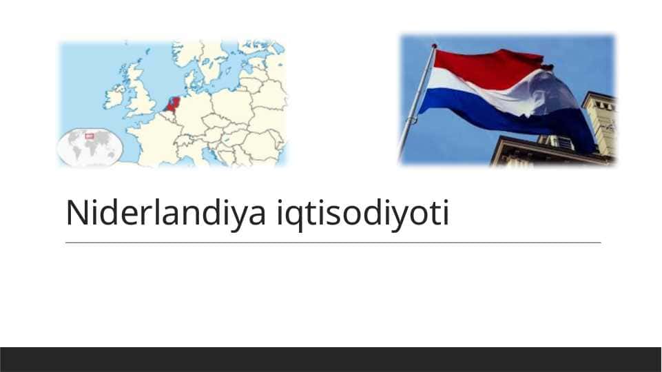 Niderlandiya iqtisodiyoti