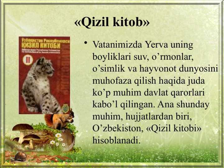 Qizil kitob