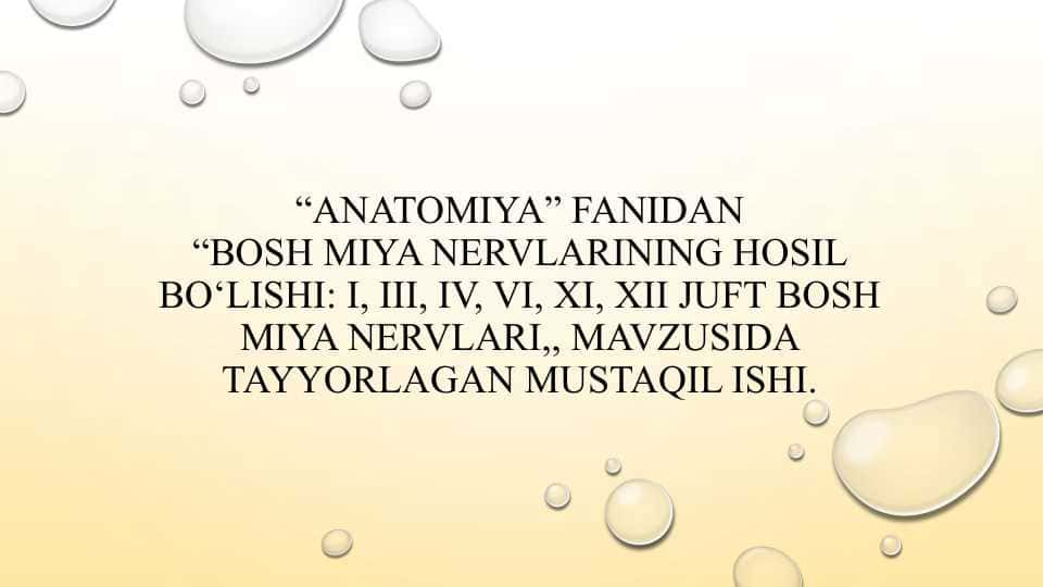 Bosh miya nervlarining hosil bo‘lishi: I, III, IV, VI, XI, XII juft bosh miya nervlari