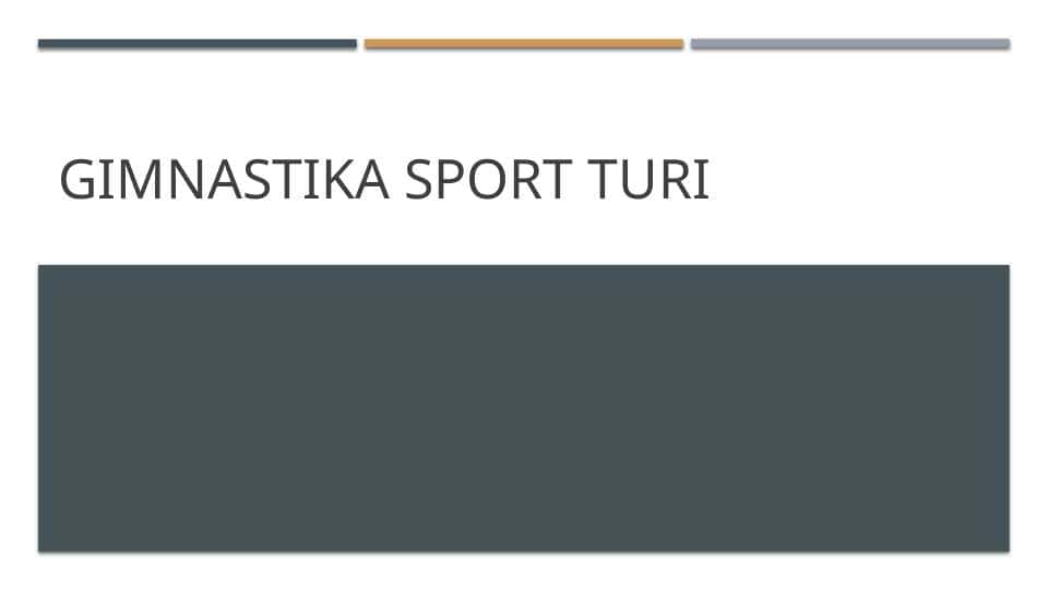 Gimnastika sport turi
