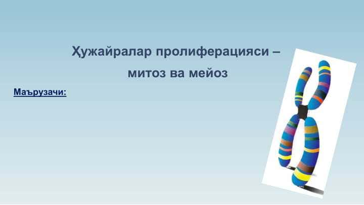 Ҳужайралар пролиферацияси – митоз ва мейоз