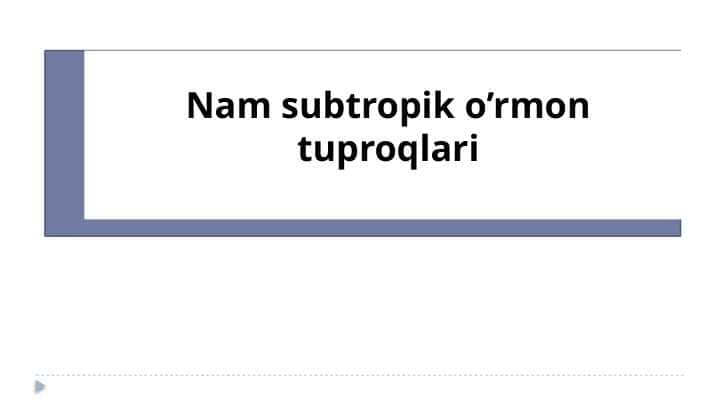 Nam subtropik o’rmon tuproqlari