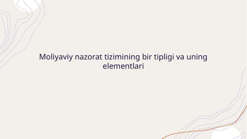 Moliyaviy nazorat tizimining bir tipligi va uning elementlari
