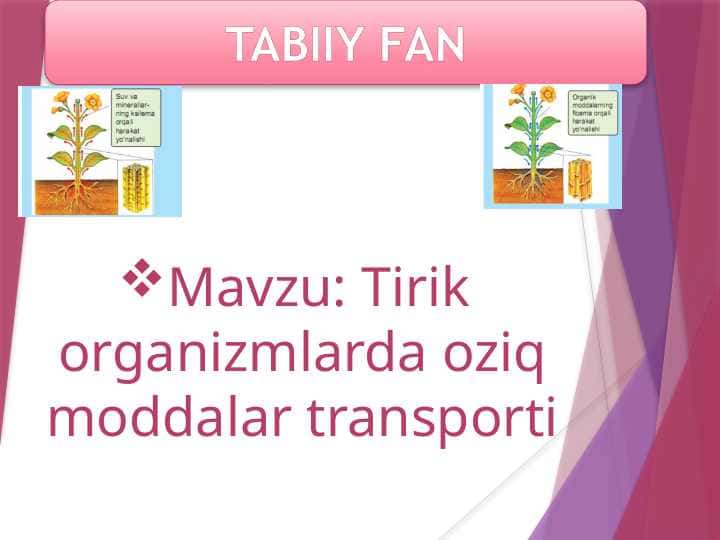 Tirik organizmlarda oziq moddalar transporti