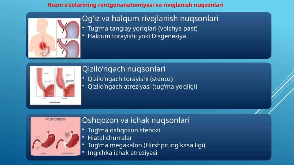 Anatomiya ichki organlar grafik organeyzer