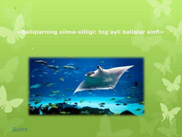 Baliqlarning xilma-xilligi tog’ayli baliqlar sinfi