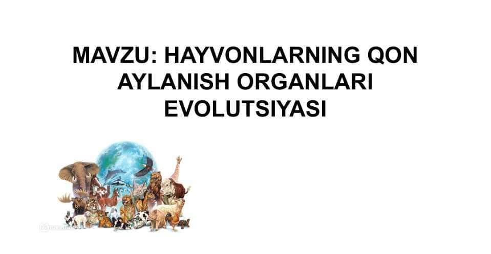 HAYVONLARNING QON AYLANISH ORGANLARI EVOLUTSIYASI