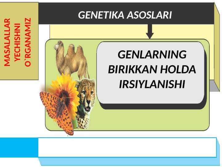 GENLARNING BIRIKKAN HOLDA IRSIYLANISHI