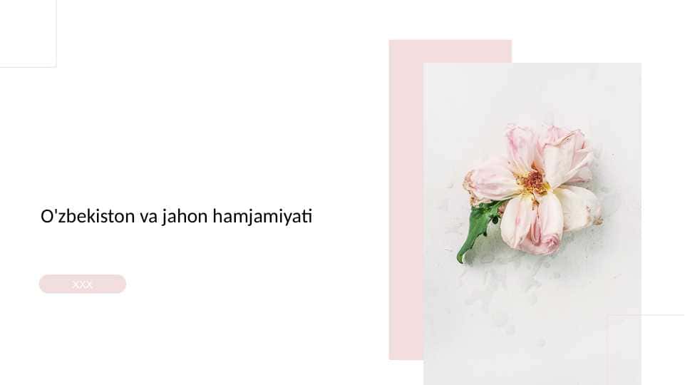 O'zbekiston va jahon hamjamiyati