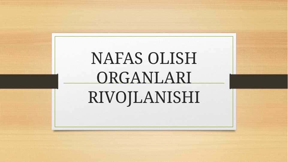 NAFAS OLISH ORGANLARI RIVOJLANISHI