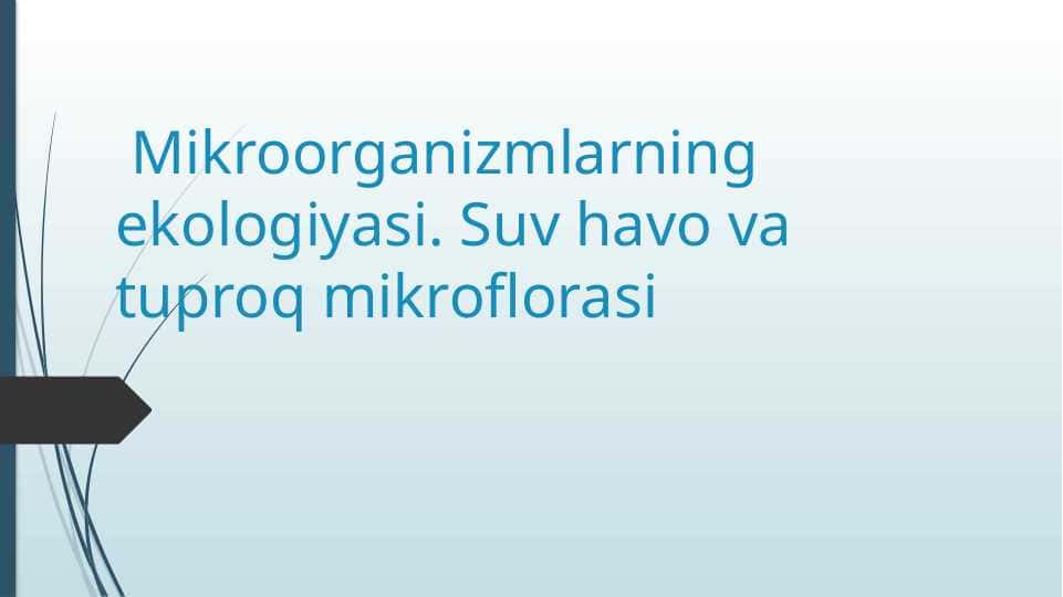 Mikroorganizmlarning ekologiyasi. Suv havo va tuproq mikroflorasi