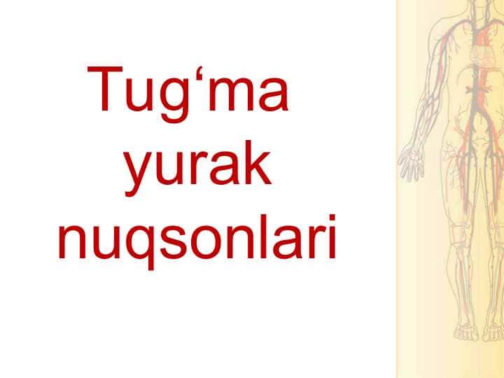 Tug'ma yurak nuqsonlari