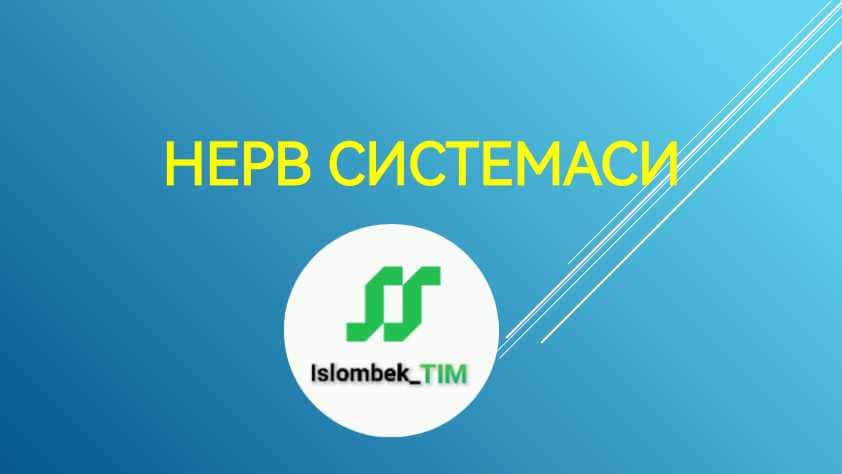 Нерв системаси