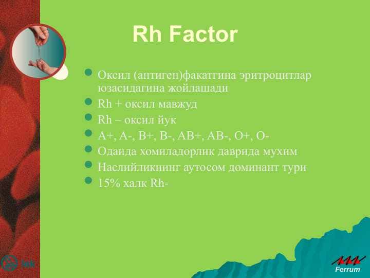 Rh Factor