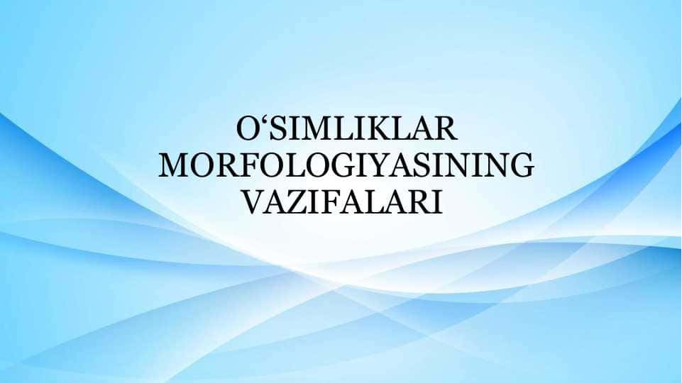 O‘SIMLIKLAR MORFOLOGIYASINING VAZIFALARI