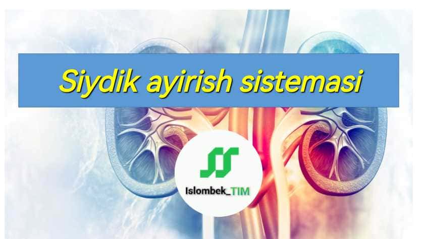 Siydik ayirish sistemasi