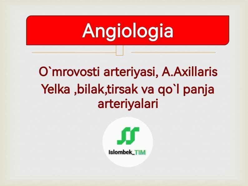 O`mrovosti arteriyasi, A.Axillaris
Yelka ,bilak,tirsak va qo`l panja arteriyalari