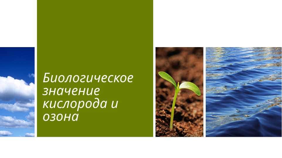 Биологическое значение кислорода и озона
