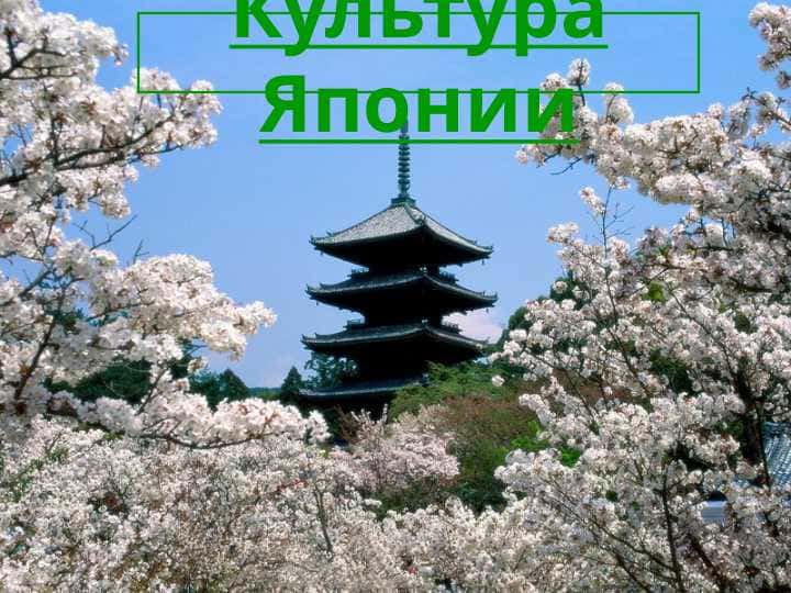 Культура Японии