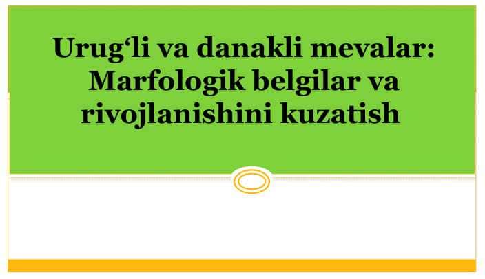 Urugʻli va danakli mevalar: Marfologik belgilar va rivojlanishini kuzatish