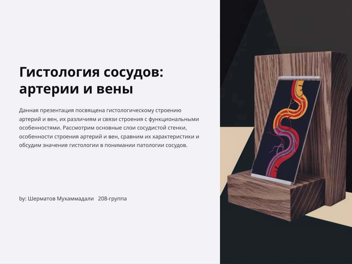 Гистология сосудов: артерии и вены