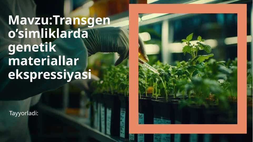 Mavzu: Transgen o’simliklarda genetik materiallar ekspressiyasi