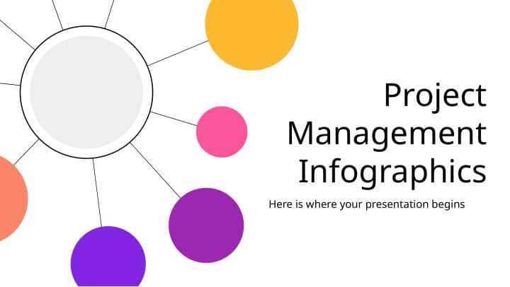 Project Management Infographics