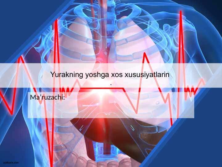 Yurakning yoshga xos xususiyatlarin