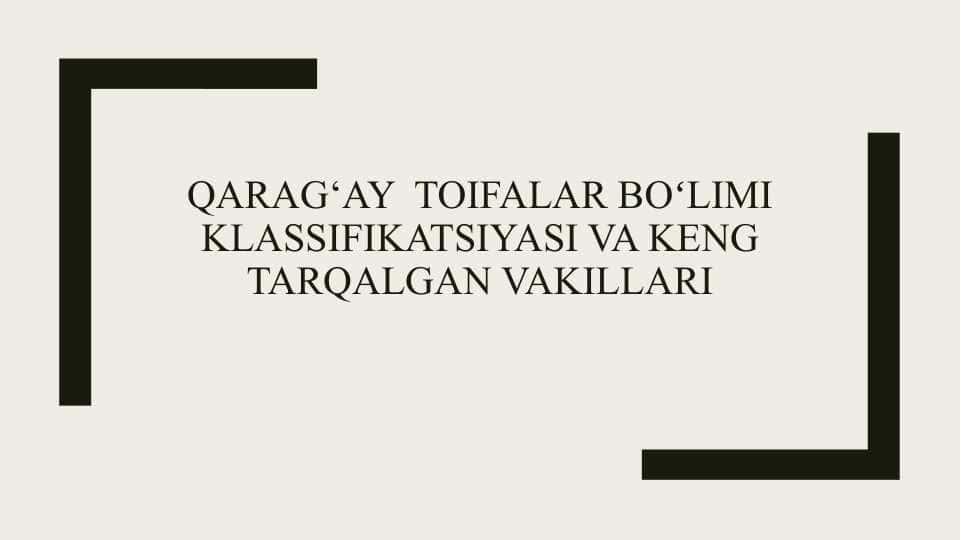 Qarag‘ay toifalar boʻlimi klassifikatsiyasi va keng tarqalgan vakillari