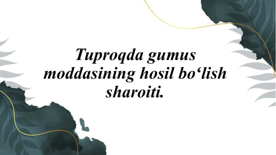 Tuproqda gumus moddasining hosil boʻlish sharoiti.