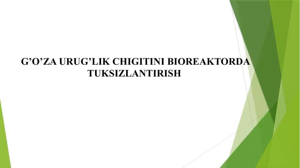 G’O’ZA URUG’LIK CHIGITINI BIOREAKTORDA TUKSIZLANTIRISH