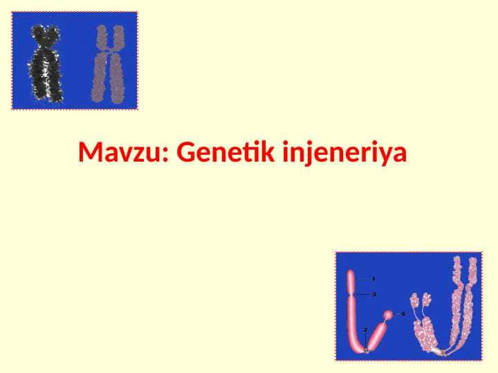 Genetik injeneriya