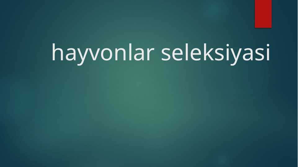 hayvonlar seleksiyasi