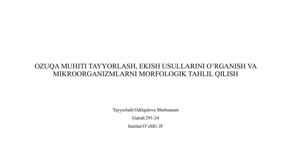 Tasvirlarni filtrlash vositalari. Rasmni filtrlash. Filtrlar. Chiziqli filtrlar. Filtr yadrosi. Tasvirlarning chekkalarida filtrlash.