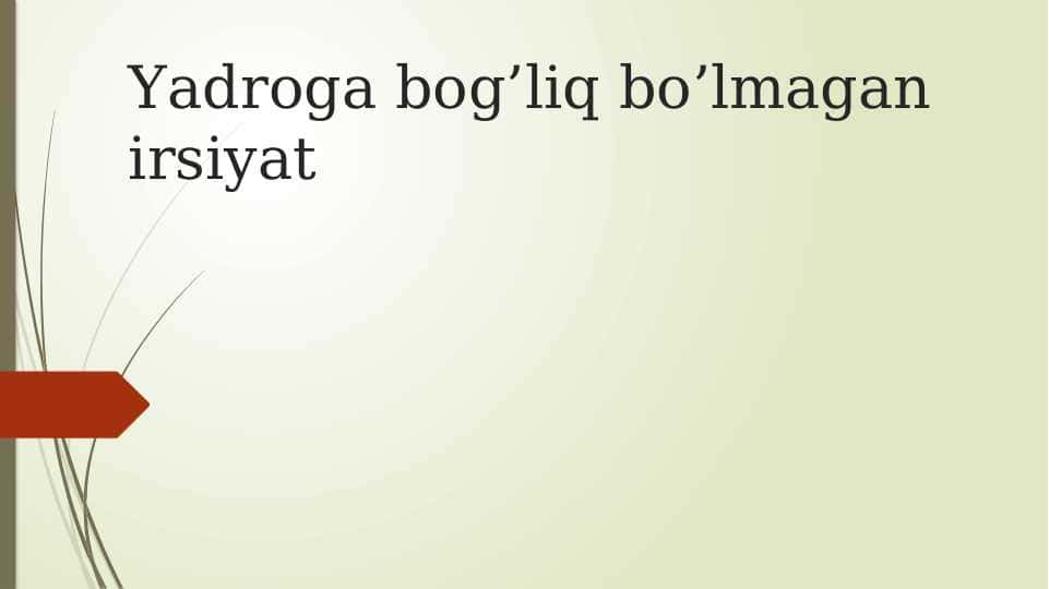 Yadroga bog’liq bo’lmagan irsiyat