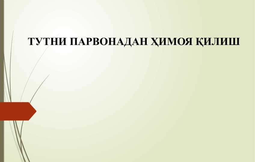 ТУТНИ ПАРВОНАДАН ҲИМОЯ ҚИЛИШ
