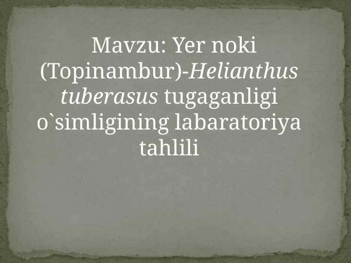 Yer noki (Topinambur)-Helianthus tuberasus tugaganligi o`simligining labaratoriya tahlili