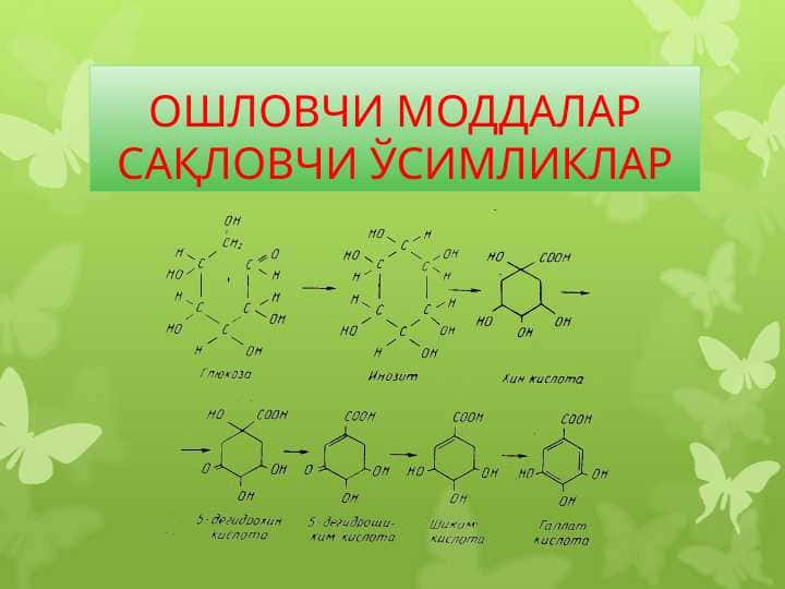 ОШЛОВЧИ МОДДАЛАР САҚЛОВЧИ ЎСИМЛИКЛАР