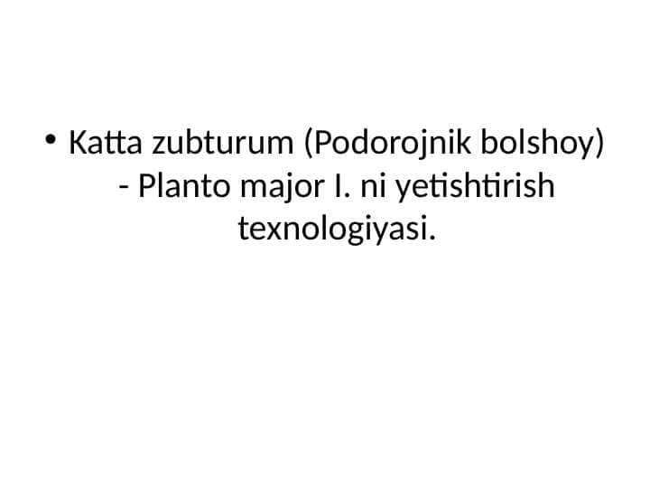 Katta zubturum - Planto major I. ni yetishtirish texnologiyasi