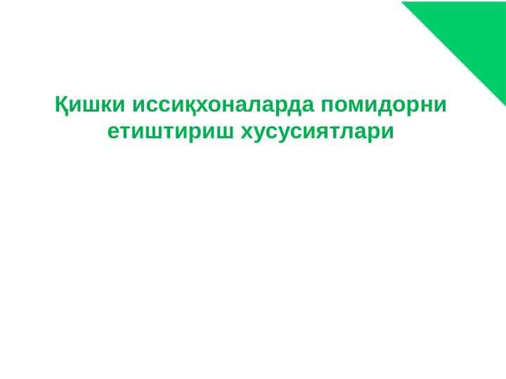Қишки иссиқхоналарда помидорни етиштириш хусусиятлари