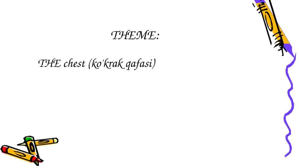 THE chest (ko'krak qafasi)
