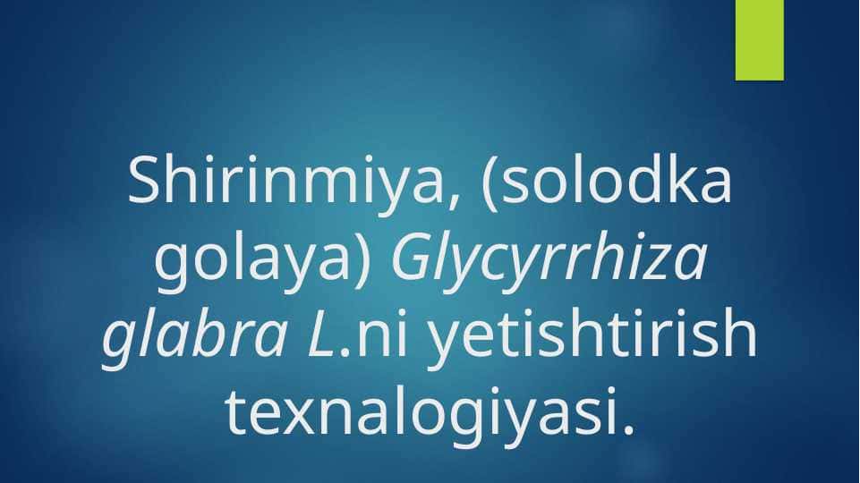Shirinmiya, (solodka golaya) Glycyrrhiza glabra L.ni yetishtirish texnalogiyasi