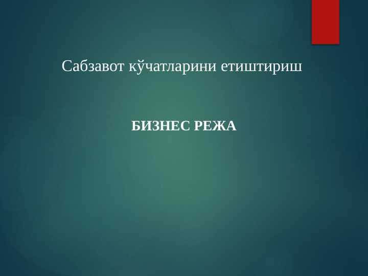 Сабзавот кўчатларини етиштириш