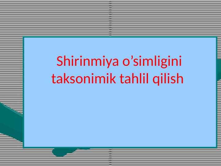 Shirinmiya o’simligini taksonimik tahlil qilish