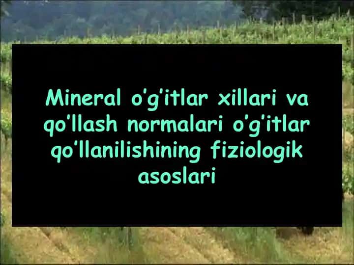 Mineral o'g'itlar xillari va qo'llash normalari o'g'itlar qo'llanilishining fiziologik asoslari