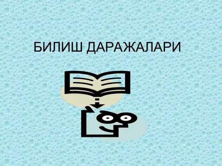 Sеzgi va qarash