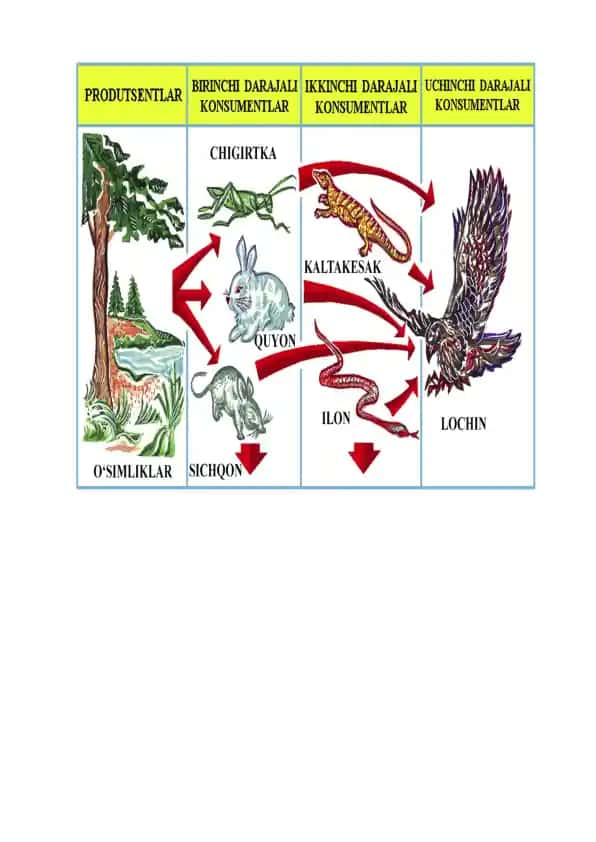Biologiyadan test