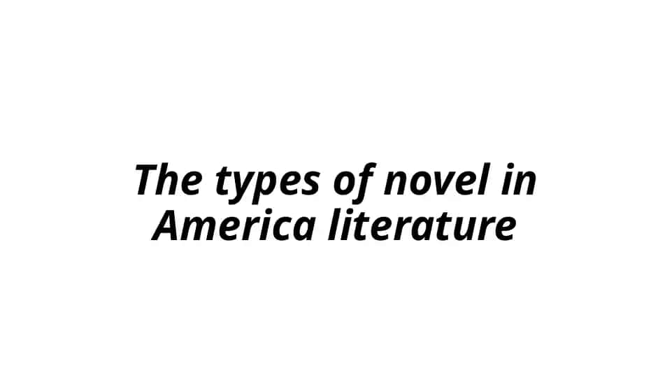 The types of novel in America literature