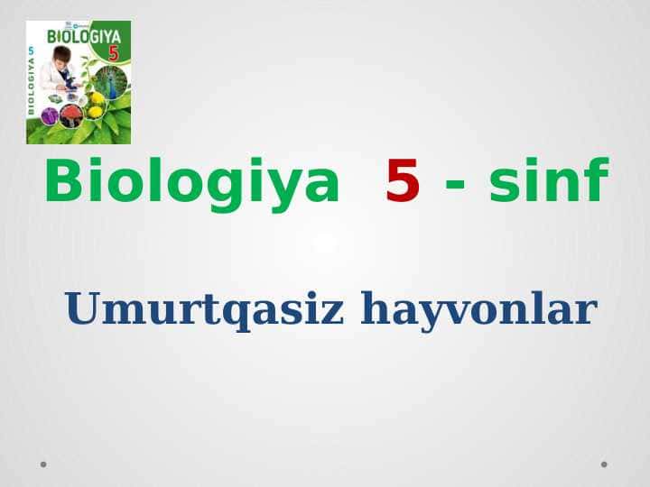 Umurtqasiz hayvonlar
