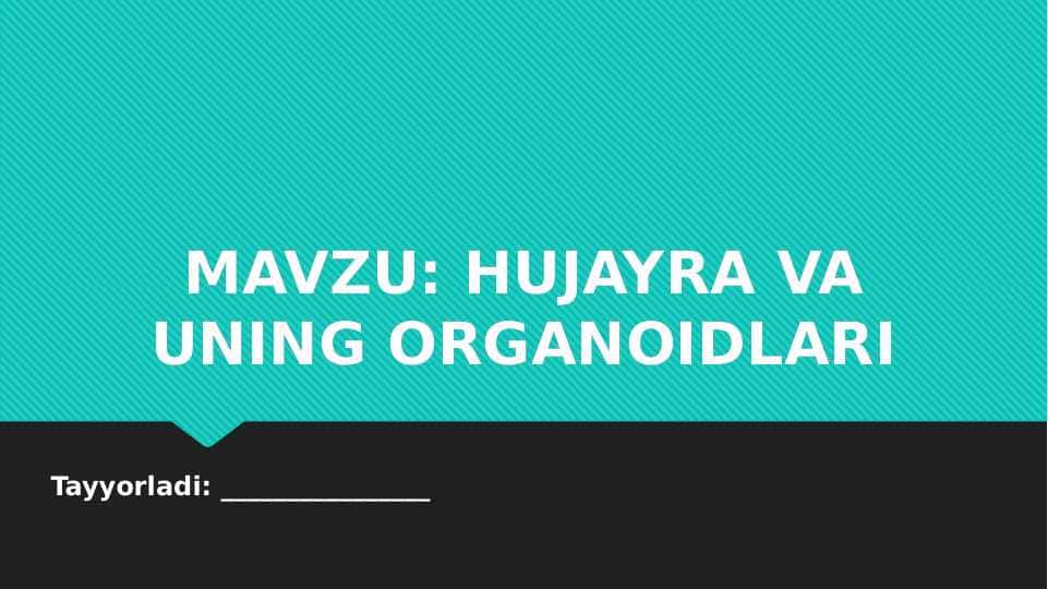 Hujayra va uning organoidlari